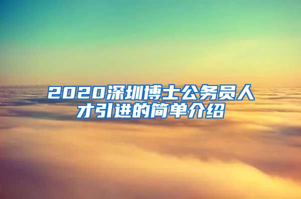 2020深圳博士公务员人才引进的简单介绍