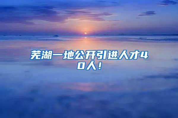 芜湖一地公开引进人才40人！