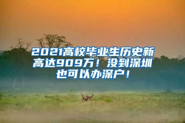 2021高校毕业生历史新高达909万！没到深圳也可以办深户！