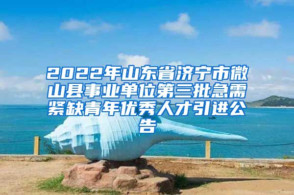 2022年山东省济宁市微山县事业单位第三批急需紧缺青年优秀人才引进公告