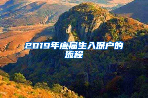 2019年应届生入深户的流程