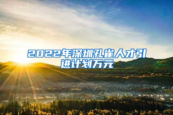 2022年深圳孔雀人才引进计划万元