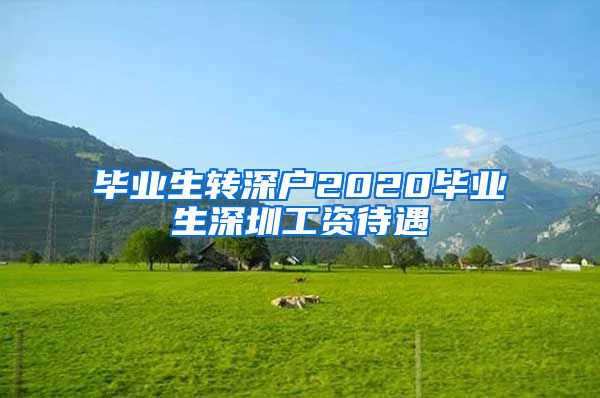 毕业生转深户2020毕业生深圳工资待遇