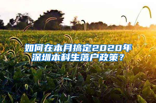 如何在本月搞定2020年深圳本科生落户政策？