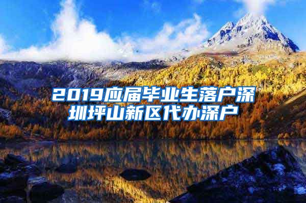 2019应届毕业生落户深圳坪山新区代办深户