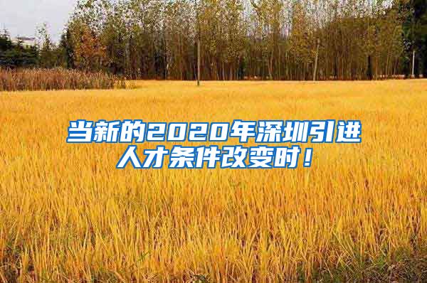 当新的2020年深圳引进人才条件改变时！