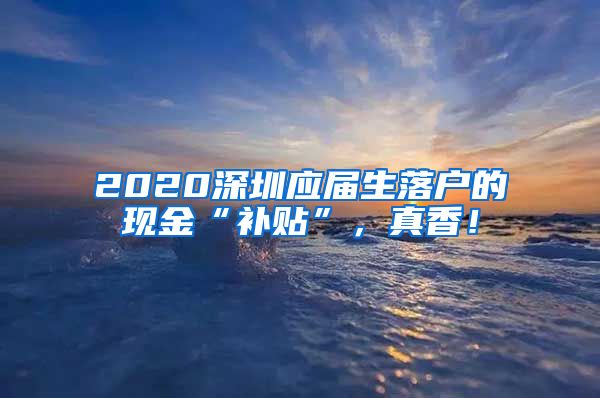 2020深圳应届生落户的现金“补贴”，真香！