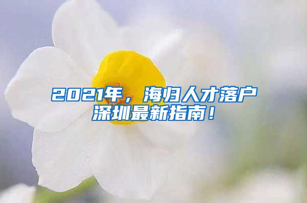 2021年，海归人才落户深圳最新指南！