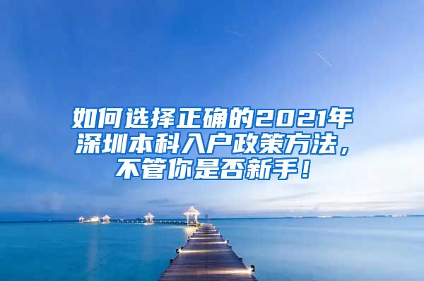 如何选择正确的2021年深圳本科入户政策方法，不管你是否新手！