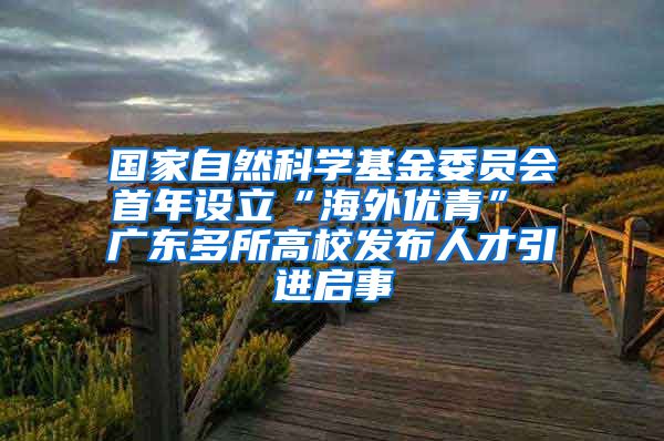 国家自然科学基金委员会首年设立“海外优青” 广东多所高校发布人才引进启事