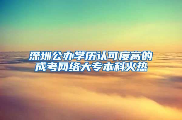 深圳公办学历认可度高的成考网络大专本科火热