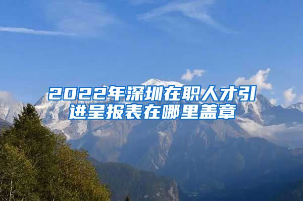 2022年深圳在职人才引进呈报表在哪里盖章