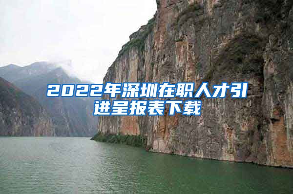 2022年深圳在职人才引进呈报表下载