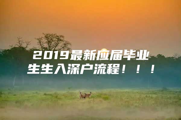 2019最新应届毕业生生入深户流程！！！